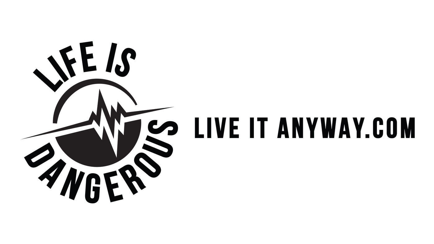 Life is Dangerous Decal