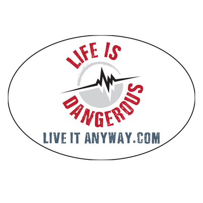 Life is Dangerous Die-Cut Stickers